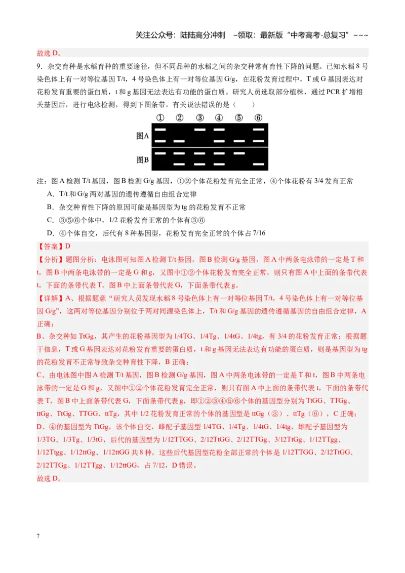 《第17讲自由组合定律（专项训练）（安徽专用）（教师版）_06-生物-高考总复习_一轮复习_2026年-生物高考一轮复习_2026年高考生物一轮课件+讲义+练习（安徽专用）-G326》第7页预览
