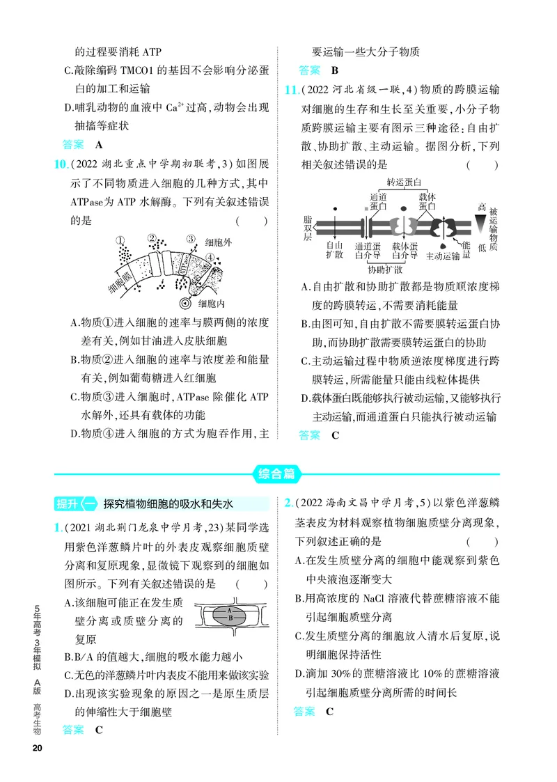 《1_03-专题三　细胞的物质输入和输出（教参电子书—分层集训）_2024版教学资源包_2024版.新高考版生物.5·3A版_3_专题三细胞的物质输入和输出_4_PDF教参电子书》第3页预览