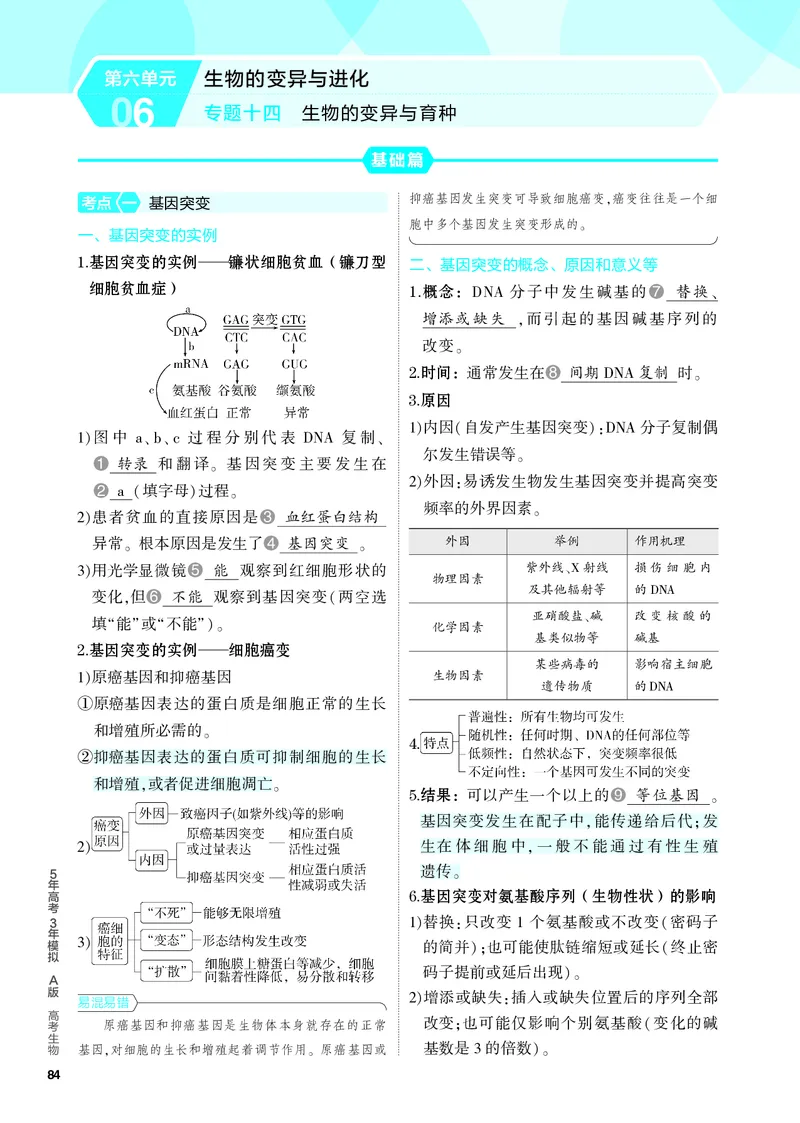 《1_14-专题十四　生物的变异与育种（教参电子书—知识讲解）_2024版教学资源包_2024版.新高考版生物.5·3A版_14_专题十四生物的变异与育种_4_PDF教参电子书》第1页预览