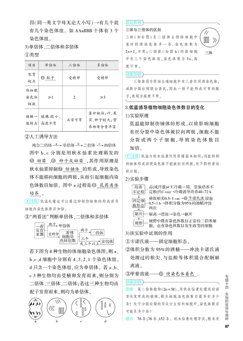《1_14-专题十四　生物的变异与育种（教参电子书—知识讲解）_2024版教学资源包_2024版.新高考版生物.5·3A版_14_专题十四生物的变异与育种_4_PDF教参电子书》第4页预览