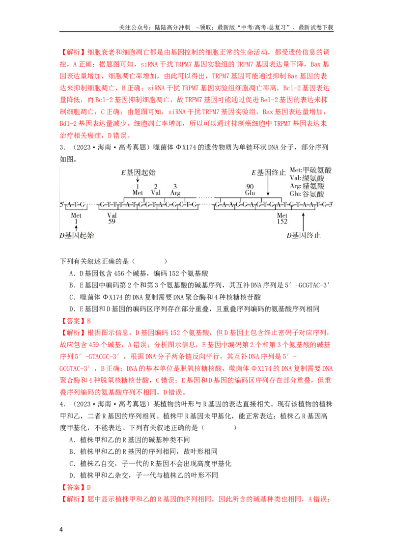 《专题14基因的表达（解析版）_06-生物-高考总复习_一轮复习_2024年_2024年高考生物一轮复习抢分特训真题回顾检测试卷_资料》第4页预览