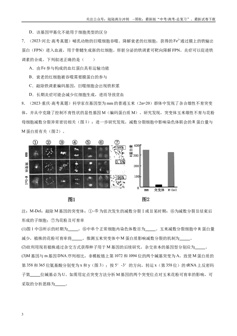 《专题13基因的表达及其与性状的关系（学生版）_06-生物-高考总复习_一轮复习_2025年_2025年高考生物一轮复习考点精讲精练（新高考通用）》第3页预览