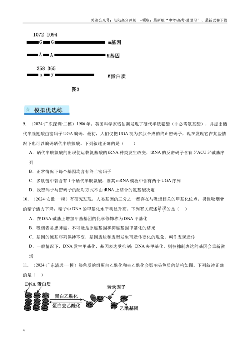 《专题13基因的表达及其与性状的关系（学生版）_06-生物-高考总复习_一轮复习_2025年_2025年高考生物一轮复习考点精讲精练（新高考通用）》第4页预览
