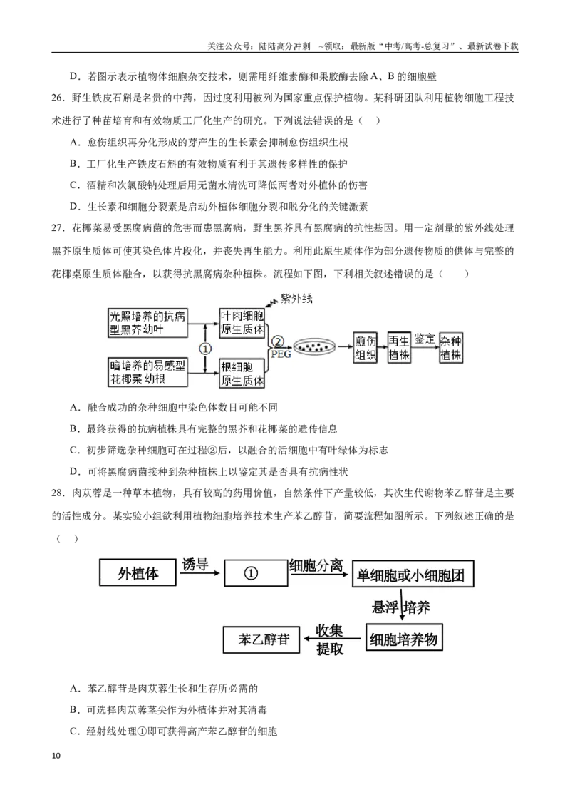 《专题14细胞工程（选择题60道）（原卷版）_06-生物-高考总复习_二轮复习_2024年_2024年高考生物二轮复习选择题大题压轴专项训练_资料》第10页预览