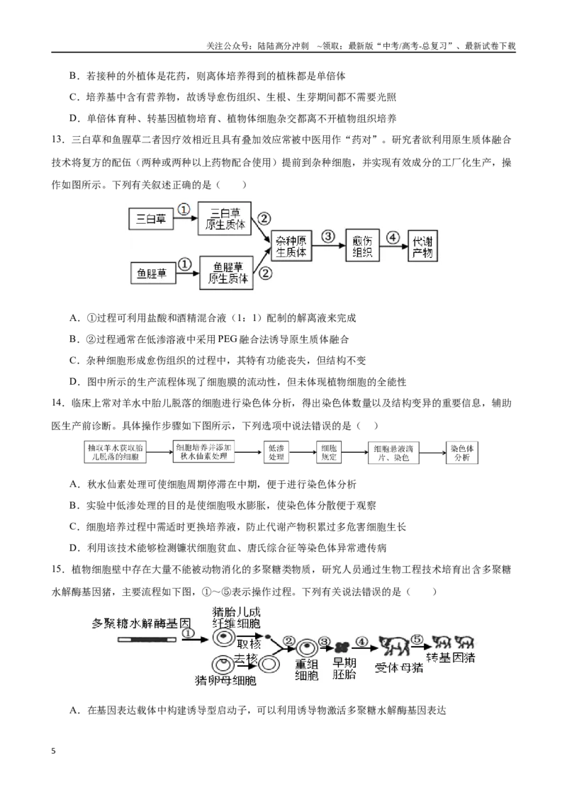 《专题14细胞工程（选择题60道）（原卷版）_06-生物-高考总复习_二轮复习_2024年_2024年高考生物二轮复习选择题大题压轴专项训练_资料》第5页预览