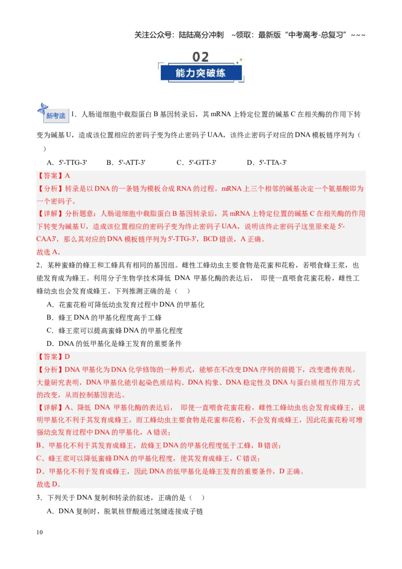 《第19讲基因的表达、基因与性状的关系（专项训练）（黑吉辽蒙专用）（教师版）_06-生物-高考总复习_一轮复习_2026年-生物高考一轮复习》第10页预览