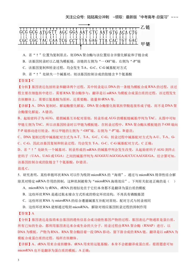 《第19讲基因的表达、基因与性状的关系（专项训练）（黑吉辽蒙专用）（教师版）_06-生物-高考总复习_一轮复习_2026年-生物高考一轮复习》第3页预览