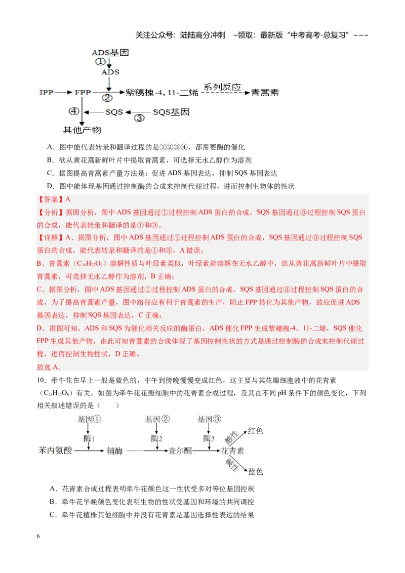 《第19讲基因的表达、基因与性状的关系（专项训练）（黑吉辽蒙专用）（教师版）_06-生物-高考总复习_一轮复习_2026年-生物高考一轮复习》第6页预览