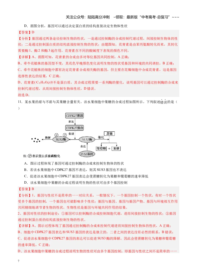 《第19讲基因的表达、基因与性状的关系（专项训练）（黑吉辽蒙专用）（教师版）_06-生物-高考总复习_一轮复习_2026年-生物高考一轮复习》第7页预览