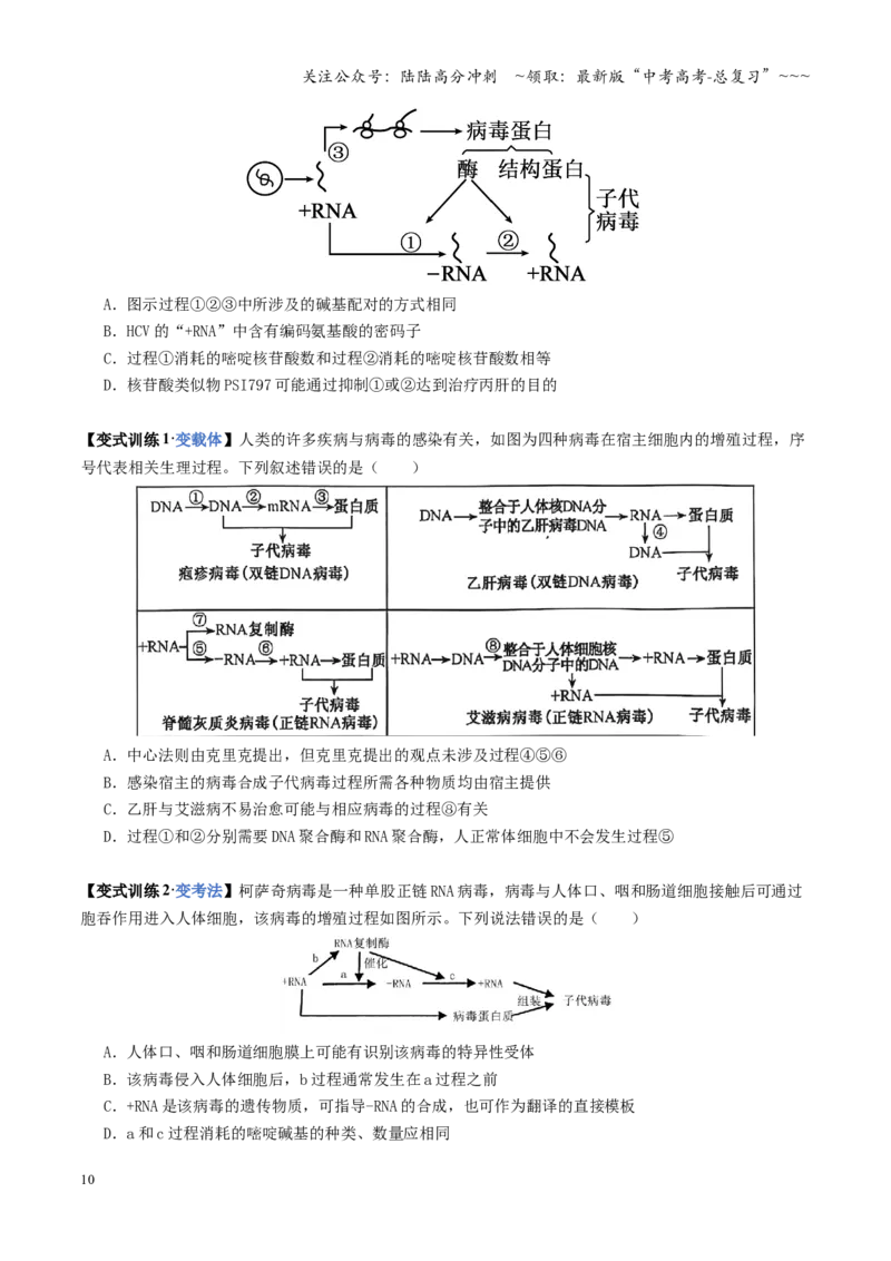 《第21讲基因的表达、基因与性状的关系（复习讲义）（全国通用）（学生版）_06-生物-高考总复习_一轮复习_2026年-生物高考一轮复习_2026版_第六单元遗传的分子基础》第10页预览