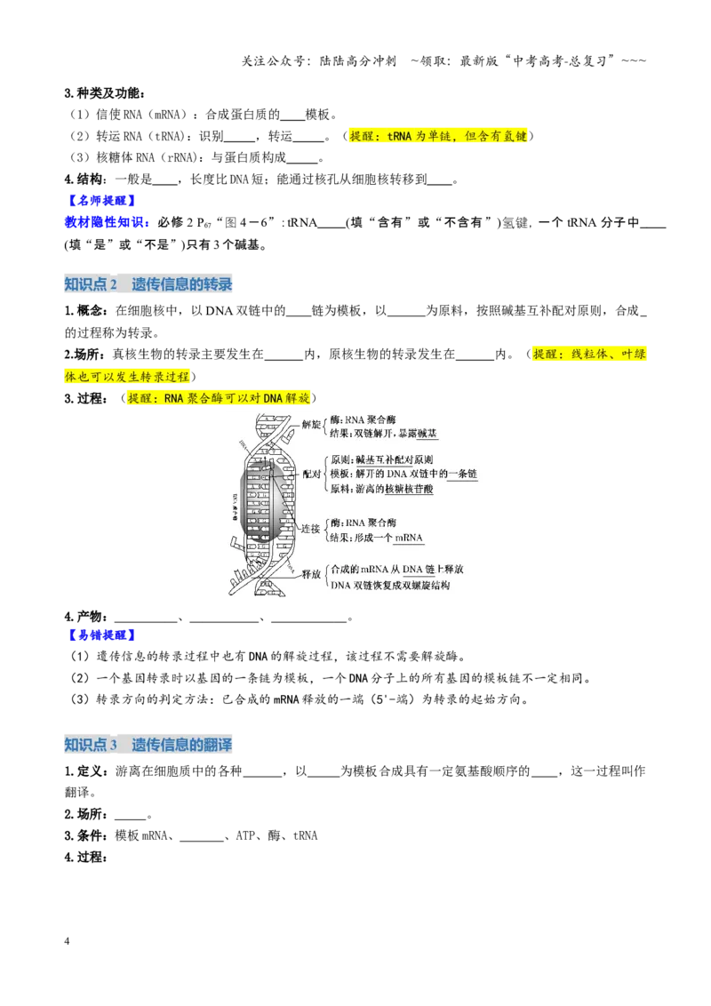 《第21讲基因的表达、基因与性状的关系（复习讲义）（全国通用）（学生版）_06-生物-高考总复习_一轮复习_2026年-生物高考一轮复习_2026版_第六单元遗传的分子基础》第4页预览