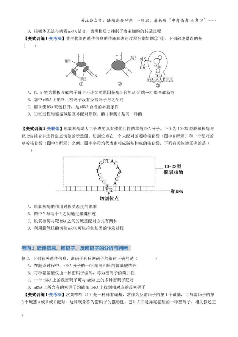 《第21讲基因的表达、基因与性状的关系（复习讲义）（全国通用）（学生版）_06-生物-高考总复习_一轮复习_2026年-生物高考一轮复习_2026版_第六单元遗传的分子基础》第7页预览