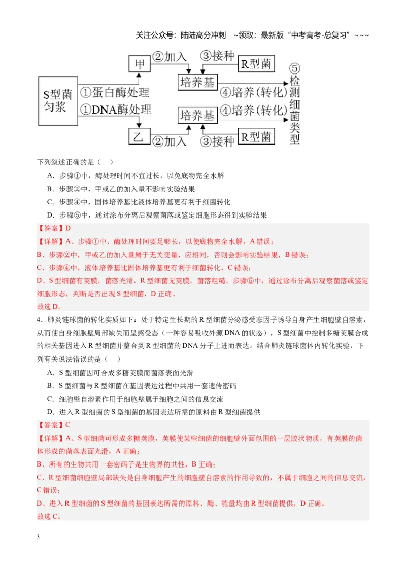 《第20讲DNA是主要的遗传物质（专项训练）（安徽专用）（教师版）_06-生物-高考总复习_一轮复习_2026年-生物高考一轮复习_2026年高考生物一轮课件+讲义+练习（安徽专用）-G326》第3页预览