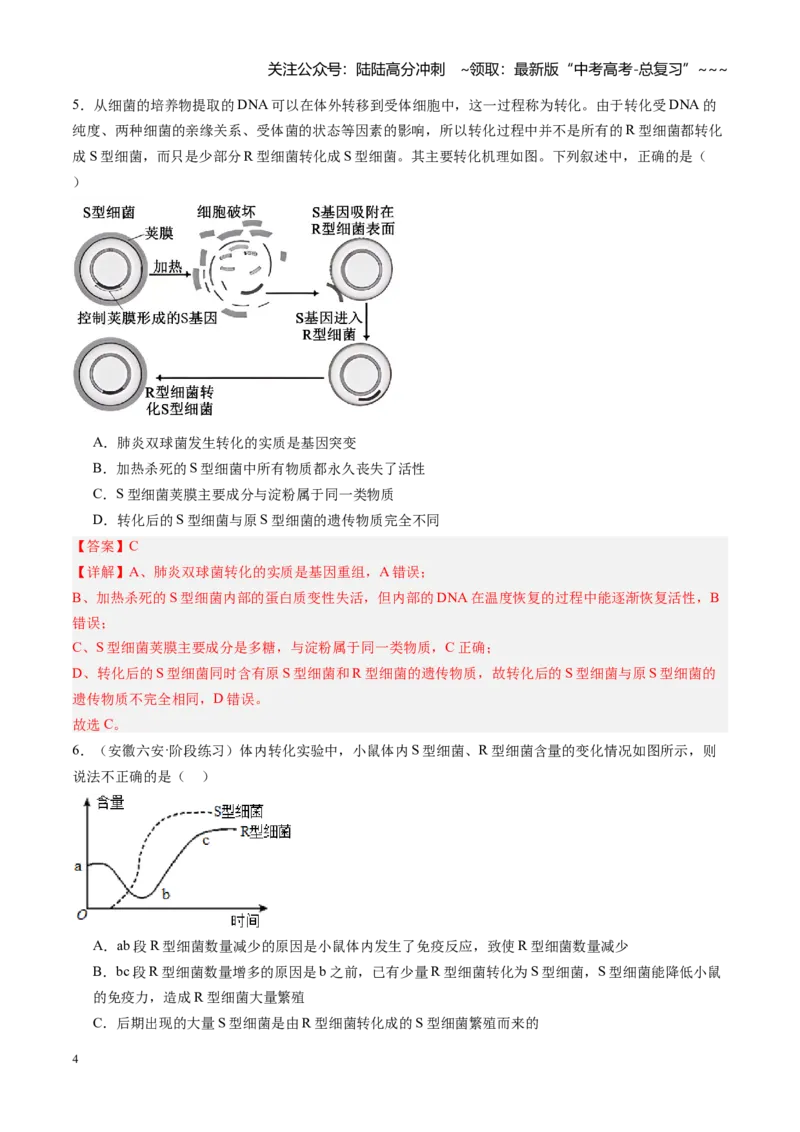 《第20讲DNA是主要的遗传物质（专项训练）（安徽专用）（教师版）_06-生物-高考总复习_一轮复习_2026年-生物高考一轮复习_2026年高考生物一轮课件+讲义+练习（安徽专用）-G326》第4页预览