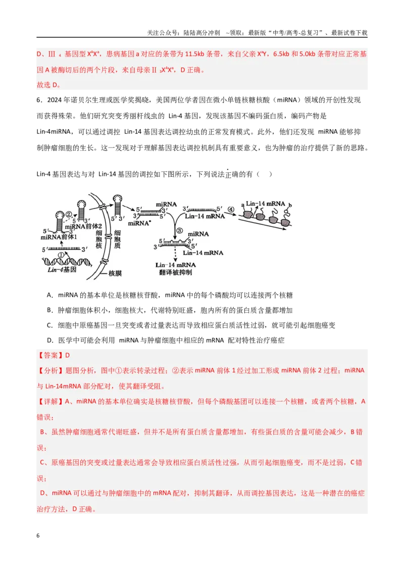 《生物（黑吉辽蒙卷02）（全解全析）_06-生物-高考总复习_专项复习_2025年_2025年高考押题预测卷（多地区）生物》第6页预览