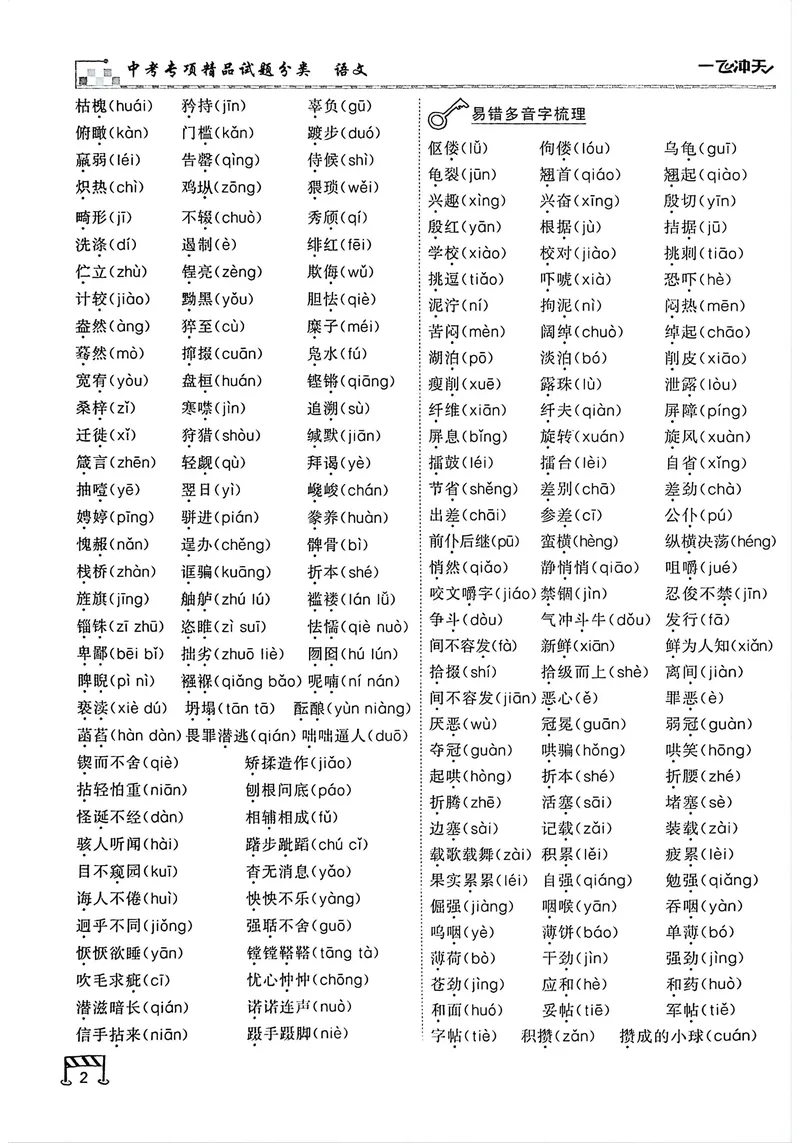 《主书(1)_2027版中考《一飞冲天》中考专项精品试题分类（语文）》第9页预览