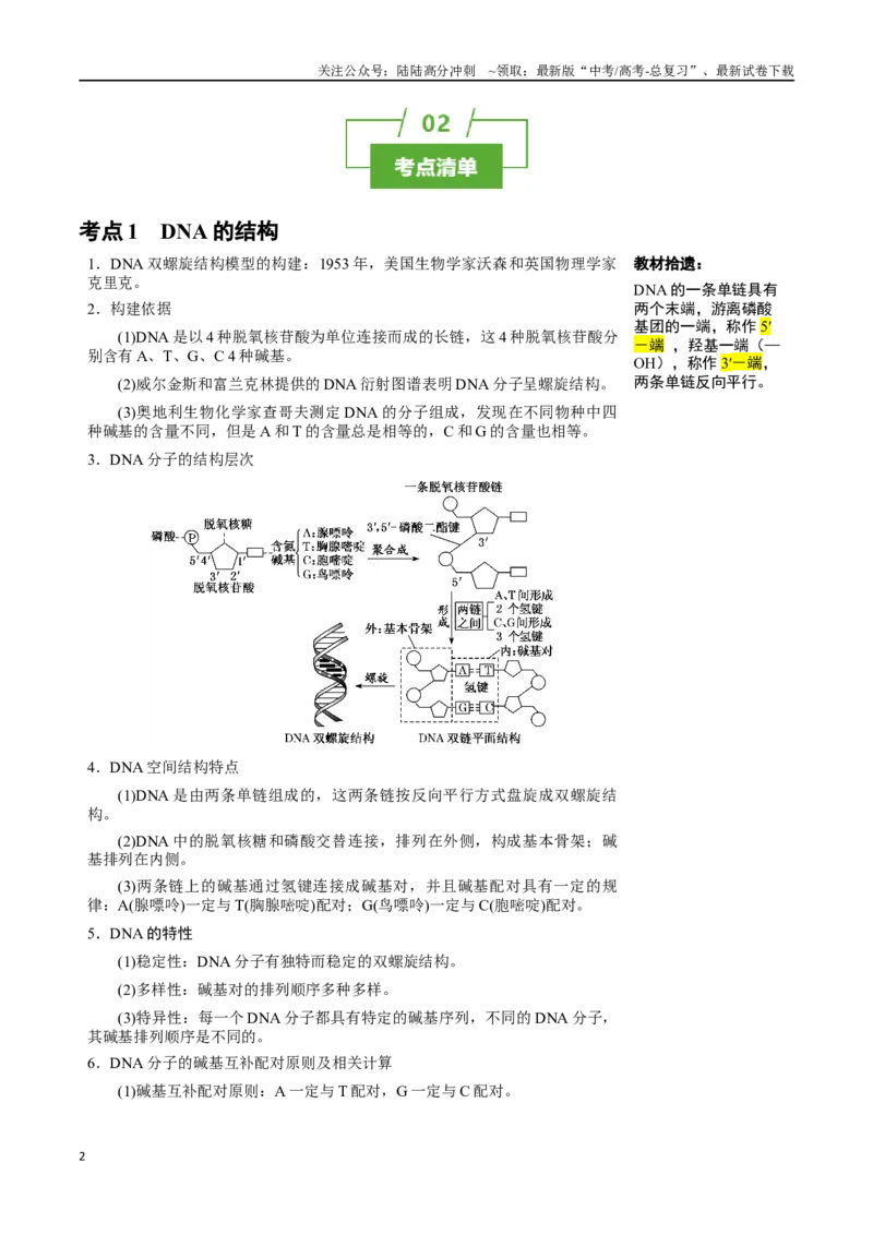 《知识清单15DNA的结构、复制以及基因的本质（3大考点+4个易错点）_06-生物-高考总复习_一轮复习_2025年_2025年高考生物一轮复习知识清单（全国通用）》第2页预览