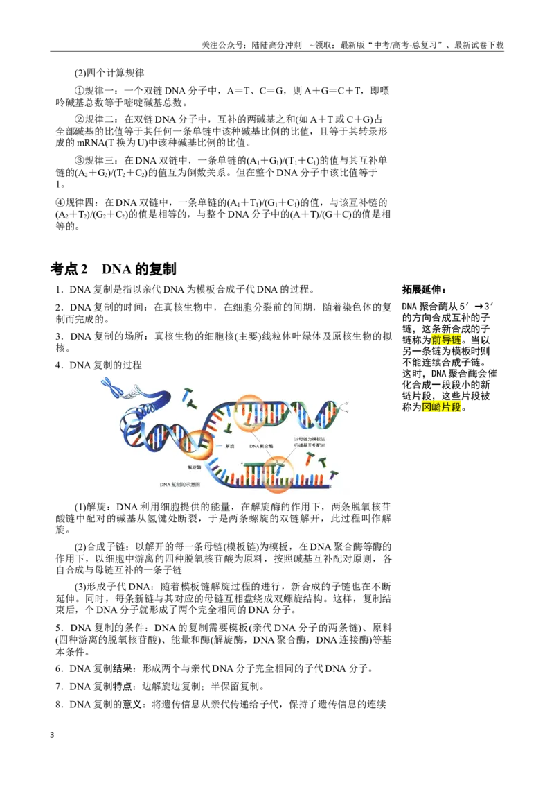 《知识清单15DNA的结构、复制以及基因的本质（3大考点+4个易错点）_06-生物-高考总复习_一轮复习_2025年_2025年高考生物一轮复习知识清单（全国通用）》第3页预览
