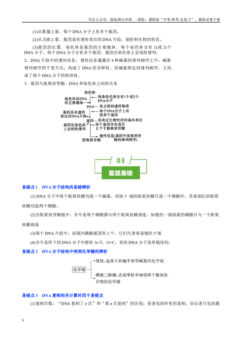 《知识清单15DNA的结构、复制以及基因的本质（3大考点+4个易错点）_06-生物-高考总复习_一轮复习_2025年_2025年高考生物一轮复习知识清单（全国通用）》第5页预览