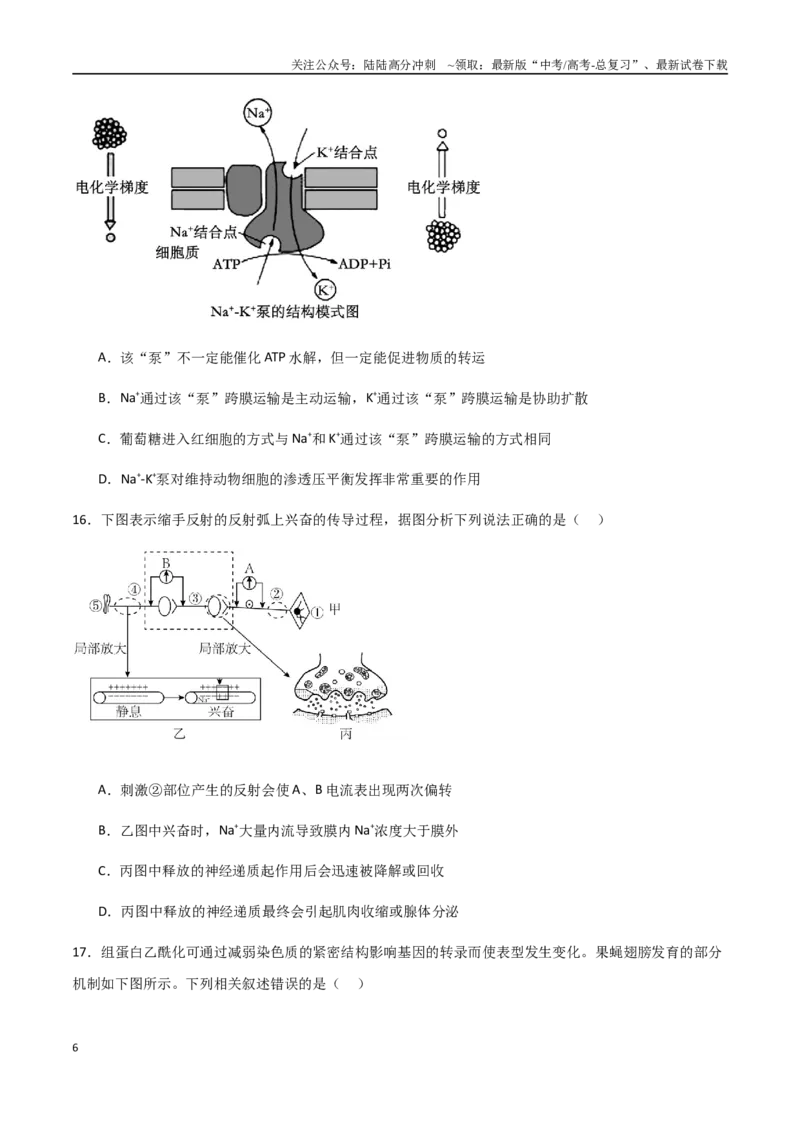 《生物（浙江卷）（考试版）_06-生物-高考总复习_一轮复习_2025年_2025年高考生物第一次模拟卷24套》第6页预览
