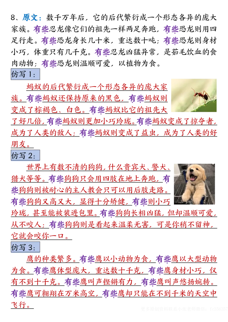 《_4年级下册同步教辅_四下语文_四下语文专项练习_四年级（下）语文1-4单元重点仿写小练笔-》第5页预览