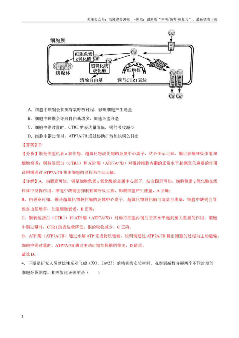 《生物（江苏卷02）（全解全析）_06-生物-高考总复习_专项复习_2025年_2025年高考第一二三次模拟卷（多地区）生物_2025年高考生物第三次模拟考试21套_生物（江苏卷02）》第3页预览