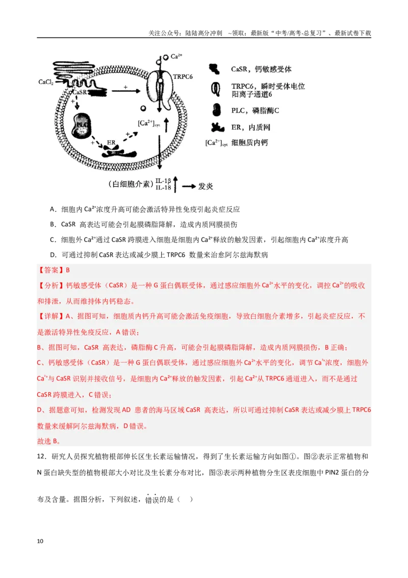 《生物（黑吉辽蒙卷01）（全解全析）_06-生物-高考总复习_专项复习_2025年_2025年高考押题预测卷（多地区）生物》第10页预览