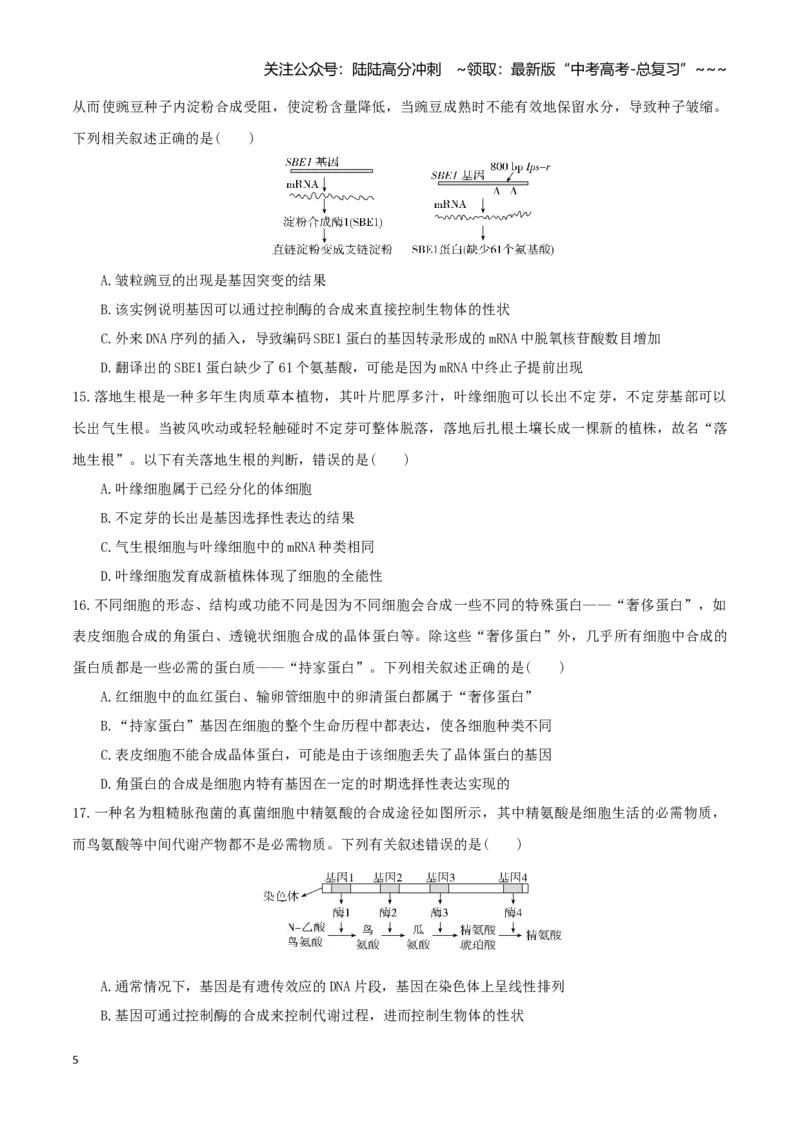 《第21讲基因的表达、基因与性状的关系（专项训练）（湖南专用）（学生版）_06-生物-高考总复习_一轮复习_2026年-生物高考一轮复习_2026年高考生物一轮课件+讲义+练习（湖南专用）-G331》第5页预览