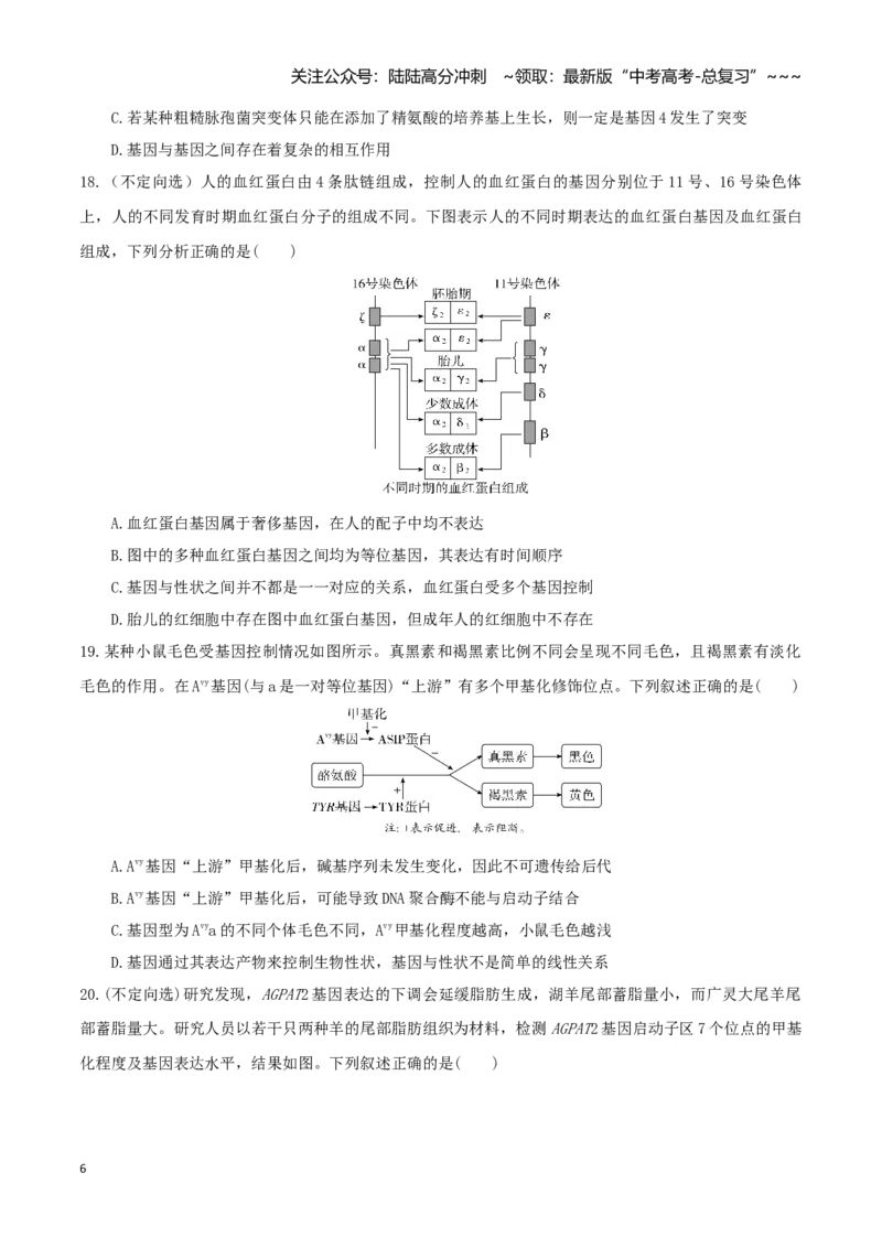 《第21讲基因的表达、基因与性状的关系（专项训练）（湖南专用）（学生版）_06-生物-高考总复习_一轮复习_2026年-生物高考一轮复习_2026年高考生物一轮课件+讲义+练习（湖南专用）-G331》第6页预览