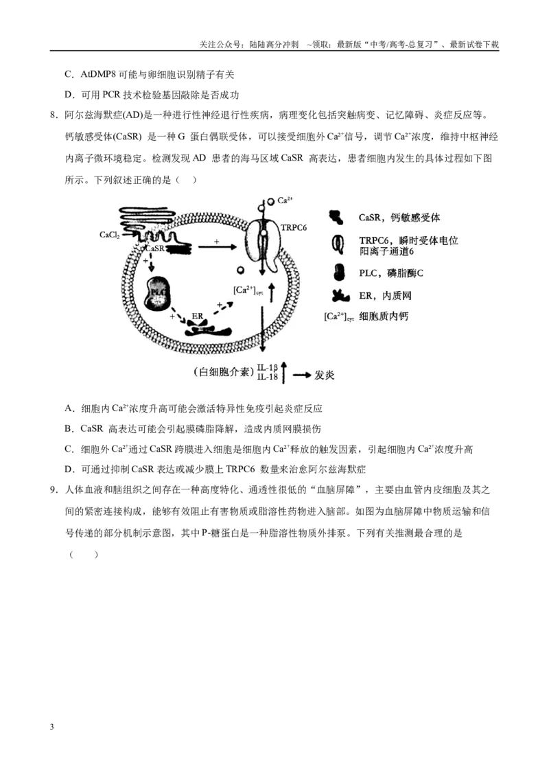 《生物（江西卷）（考试版）_06-生物-高考总复习_二轮复习_2025年_2025年高考生物第二次模拟卷26套_生物（江西卷）》第3页预览