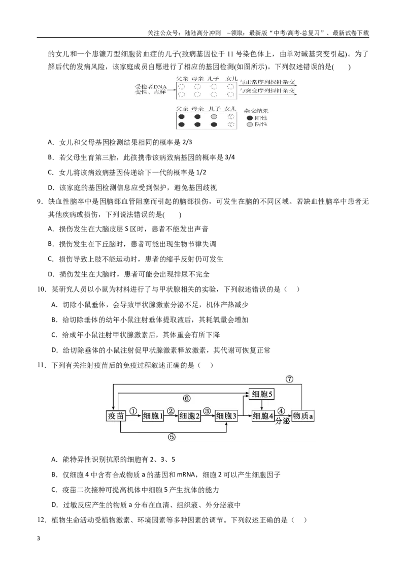 《生物（甘肃卷）（考试版）_06-生物-高考总复习_专项复习_2025年_2025年高考第一二三次模拟卷（多地区）生物_2025年高考生物第一次模拟卷24套》第3页预览
