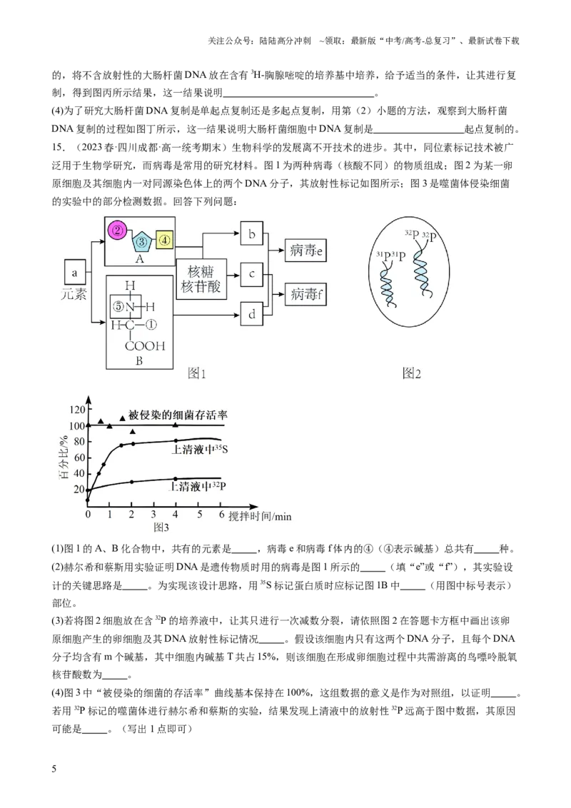 《第21讲DNA分子的结构、复制与基因的本质（练习）（原卷版）_06-生物-高考总复习_一轮复习_2024年_2024年高考生物一轮复习讲练测(课件+讲义+练习)（新高考）_讲义+练习》第5页预览