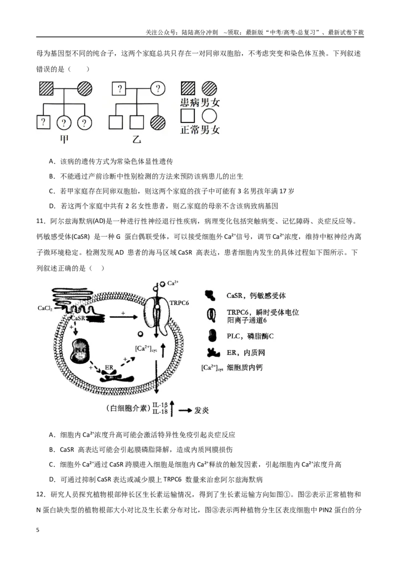 《生物（黑吉辽蒙卷01）（考试版）_06-生物-高考总复习_专项复习_2025年_2025年高考押题预测卷（多地区）生物》第5页预览