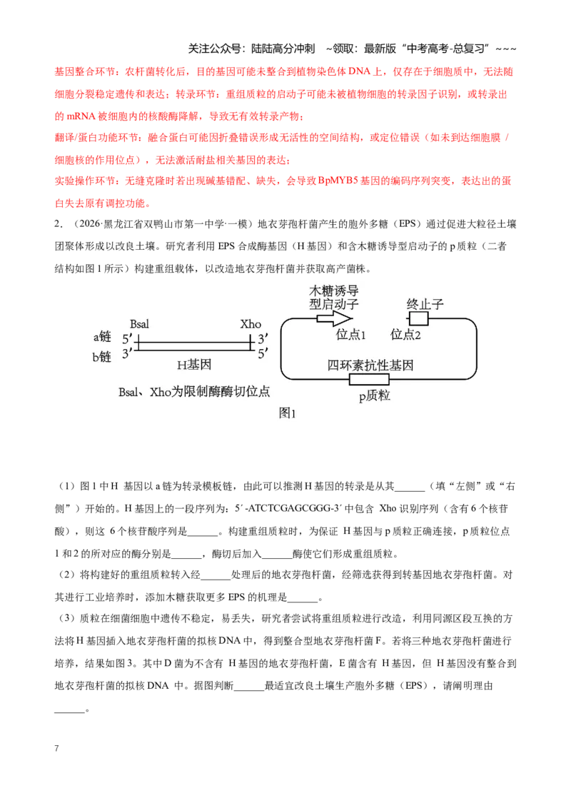 《专题12基因工程（教师版）_06-生物-高考总复习_专项复习_2026年-生物高考专项复习_2026年高考生物一模试题分类汇编（黑吉辽蒙专用）-G238_2026版》第7页预览