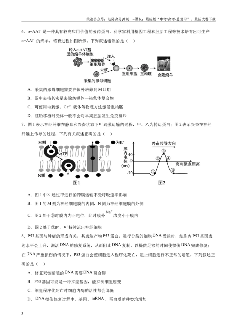 《模拟卷02（福建专用）（考试版）_06-生物-高考总复习_专项复习_2025年_2025年高考生物模拟卷（福建专用）8套》第3页预览