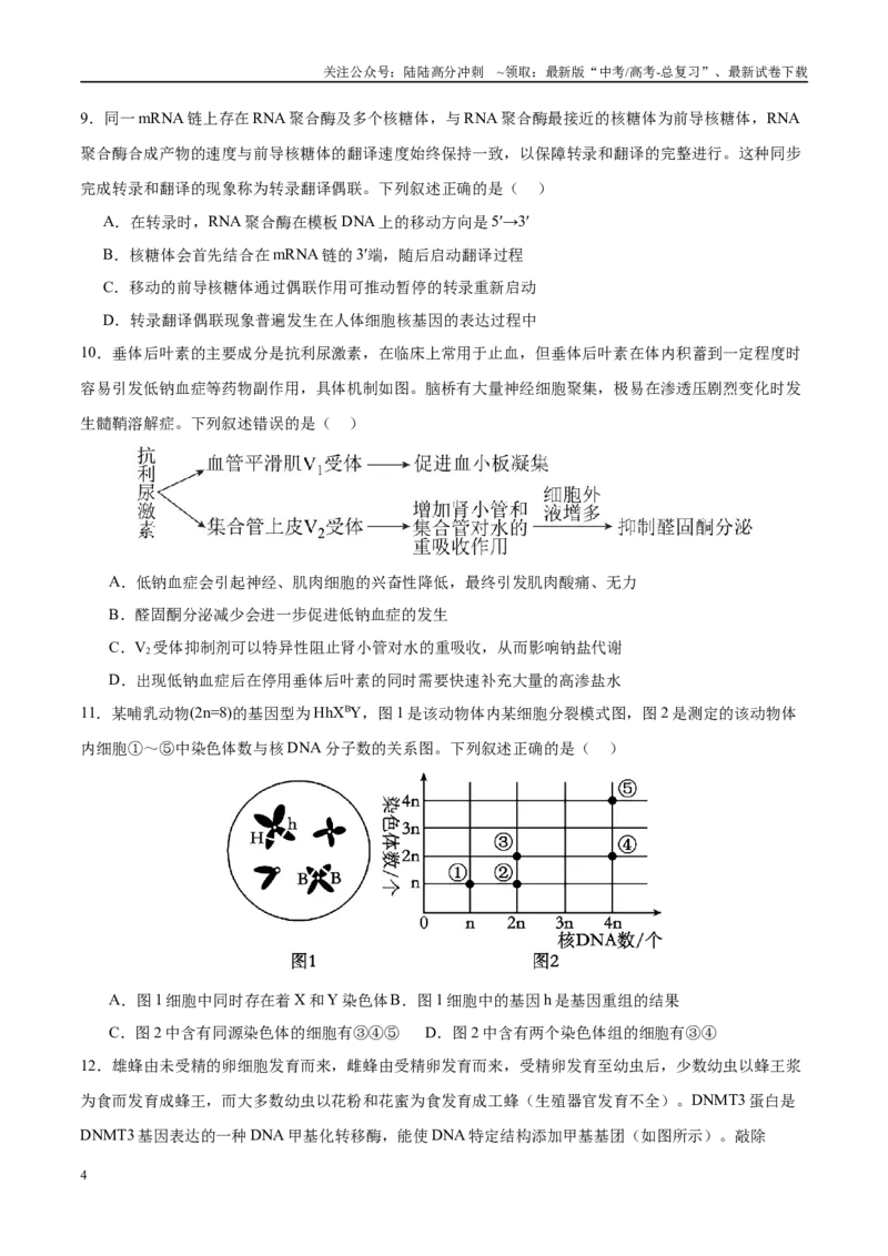 《模拟卷02（福建专用）（考试版）_06-生物-高考总复习_专项复习_2025年_2025年高考生物模拟卷（福建专用）8套》第4页预览