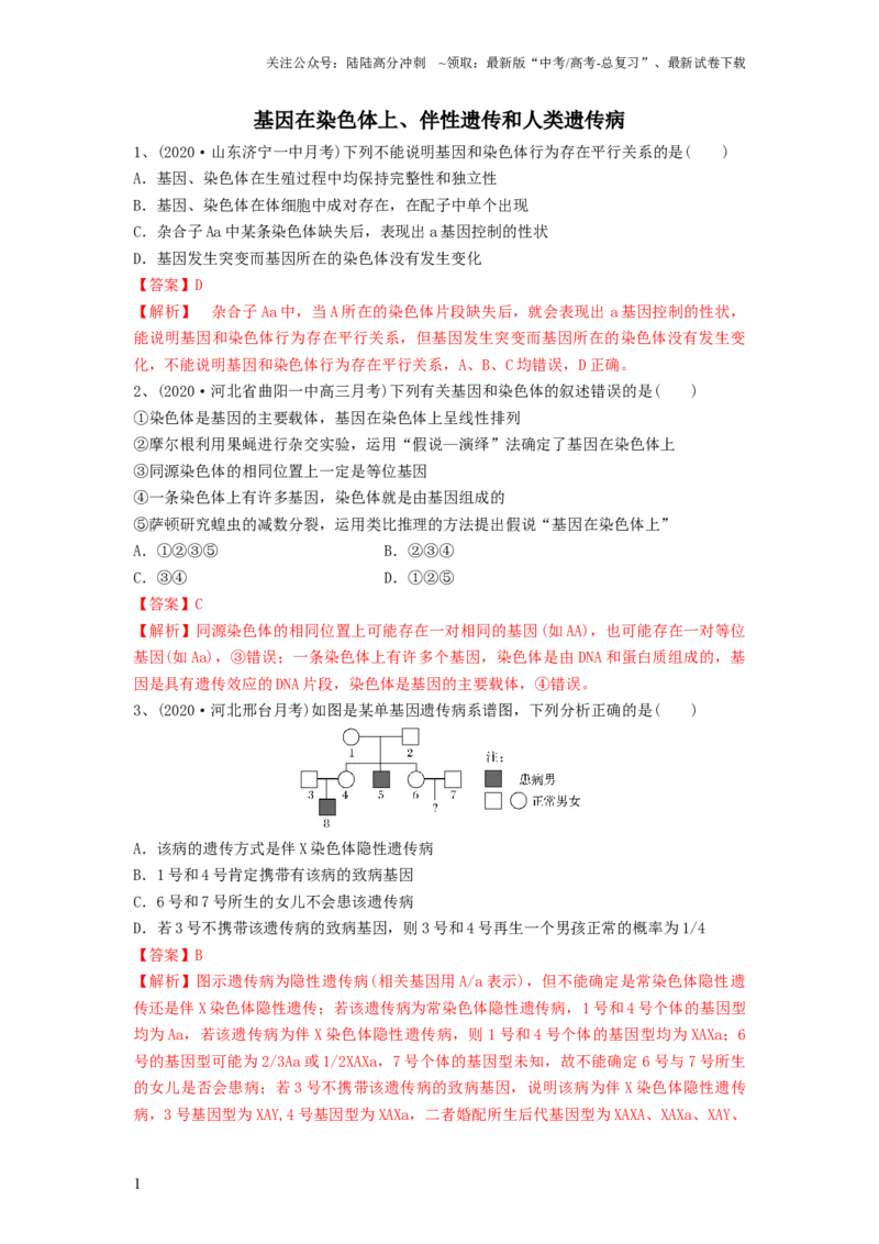 《专题16基因在染色体上、伴性遗传和人类遗传病（精练）（解析版）_06-生物-高考总复习_一轮复习_2024年_2024年高考生物一轮复习串讲精练知识点梳理练习题_精练》第1页预览