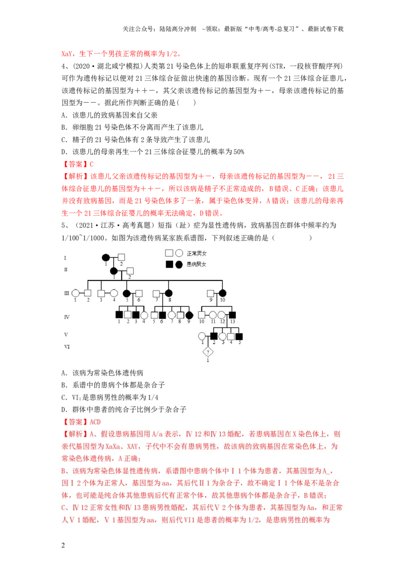 《专题16基因在染色体上、伴性遗传和人类遗传病（精练）（解析版）_06-生物-高考总复习_一轮复习_2024年_2024年高考生物一轮复习串讲精练知识点梳理练习题_精练》第2页预览