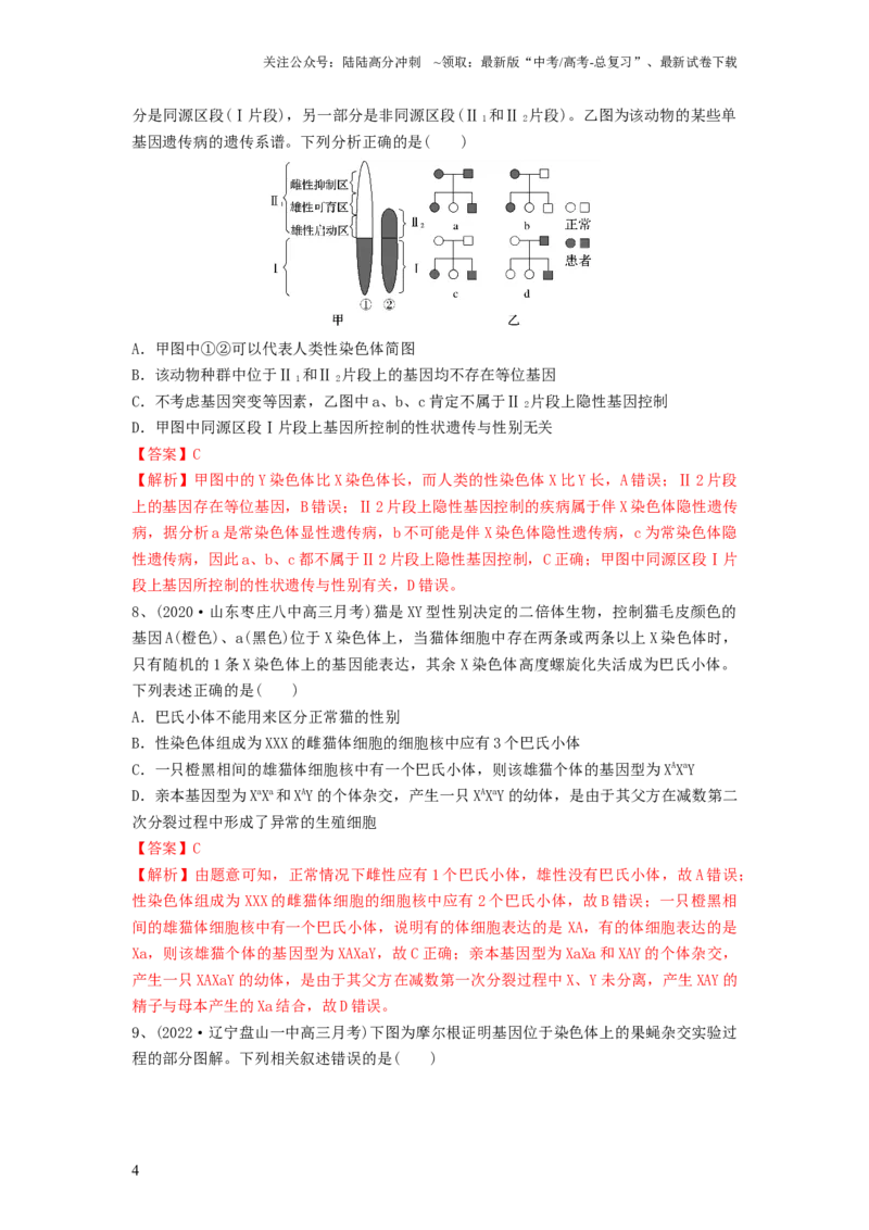 《专题16基因在染色体上、伴性遗传和人类遗传病（精练）（解析版）_06-生物-高考总复习_一轮复习_2024年_2024年高考生物一轮复习串讲精练知识点梳理练习题_精练》第4页预览