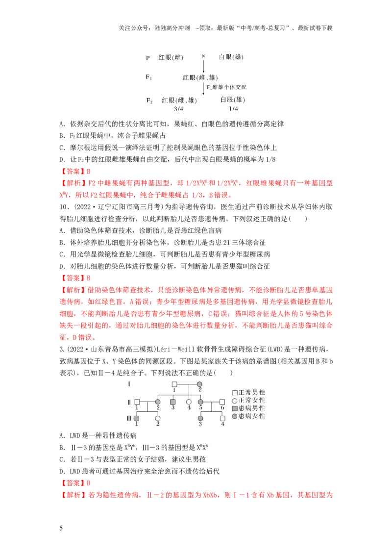 《专题16基因在染色体上、伴性遗传和人类遗传病（精练）（解析版）_06-生物-高考总复习_一轮复习_2024年_2024年高考生物一轮复习串讲精练知识点梳理练习题_精练》第5页预览