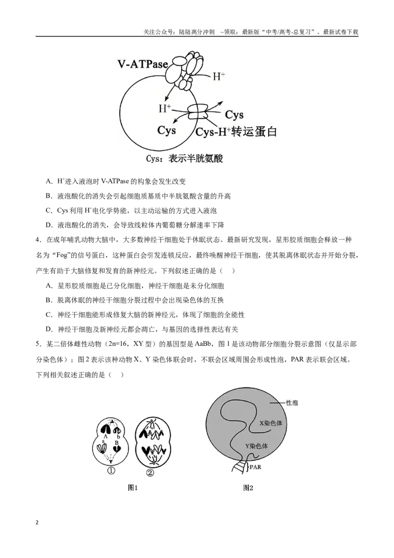 《生物（广东卷02）（考试版）_06-生物-高考总复习_二轮复习_2025年_2025年高考生物第二次模拟卷26套_生物（广东卷02）_生物（广东卷02）-学易金卷：2025年高考第二次模拟考试》第2页预览