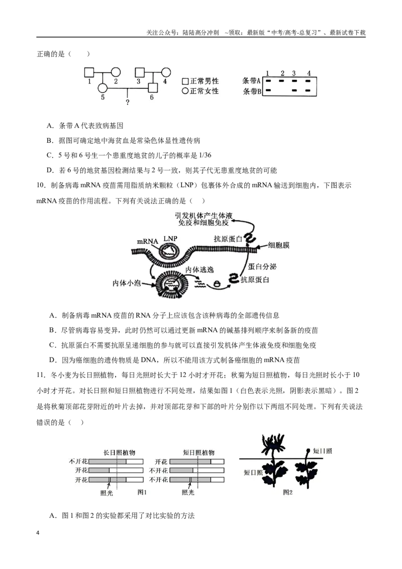 《生物（广东卷02）（考试版）_06-生物-高考总复习_二轮复习_2025年_2025年高考生物第二次模拟卷26套_生物（广东卷02）_生物（广东卷02）-学易金卷：2025年高考第二次模拟考试》第4页预览