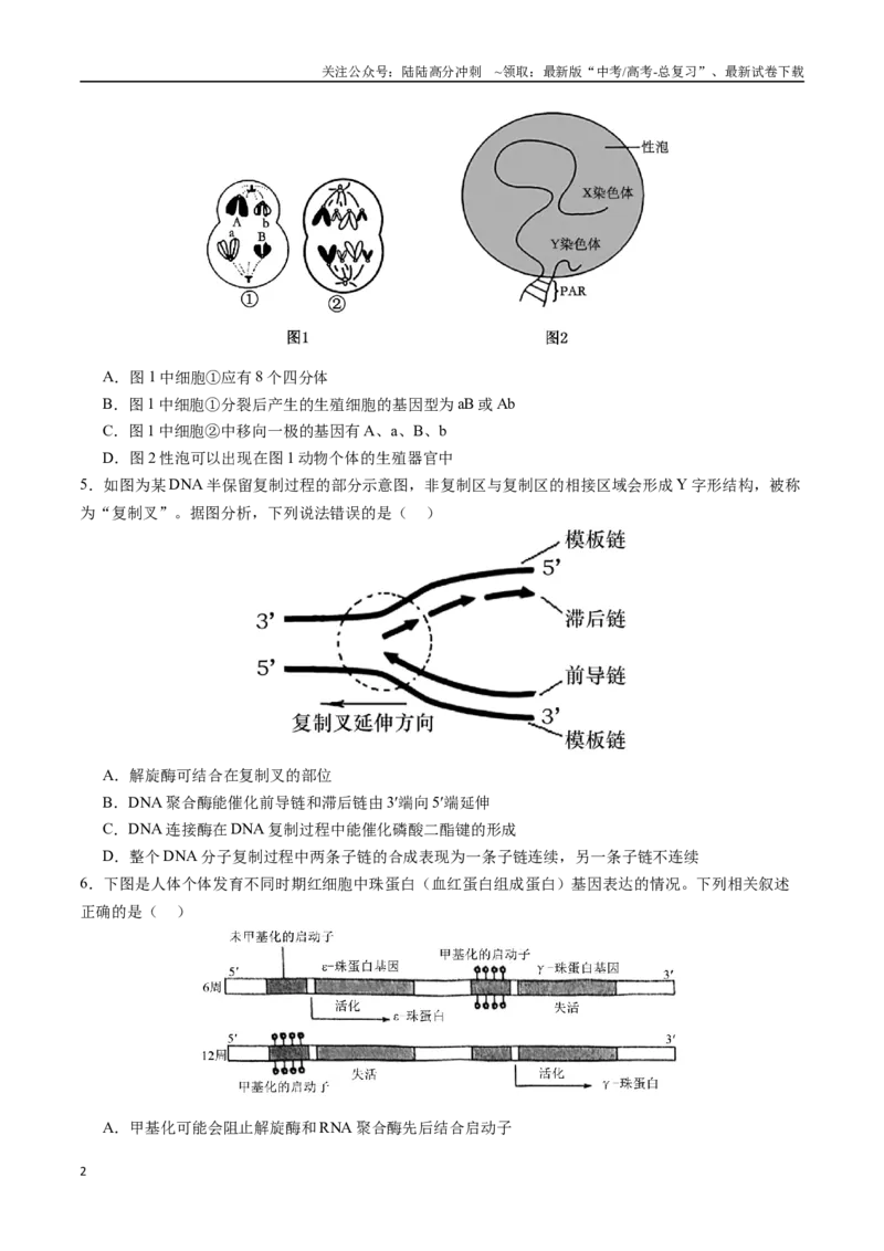《生物（江苏卷02）（考试版）_06-生物-高考总复习_专项复习_2025年_2025年高考第一二三次模拟卷（多地区）生物_2025年高考生物第二次模拟卷26套_生物（江苏卷02）》第2页预览