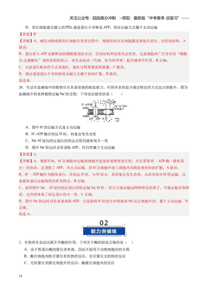 《第08讲酶和ATP（专项训练）（四川专用）（教师版）_06-生物-高考总复习_一轮复习_2026年-生物高考一轮复习_2026年高考生物一轮课件+讲义+练习（四川专用）-G335》第10页预览