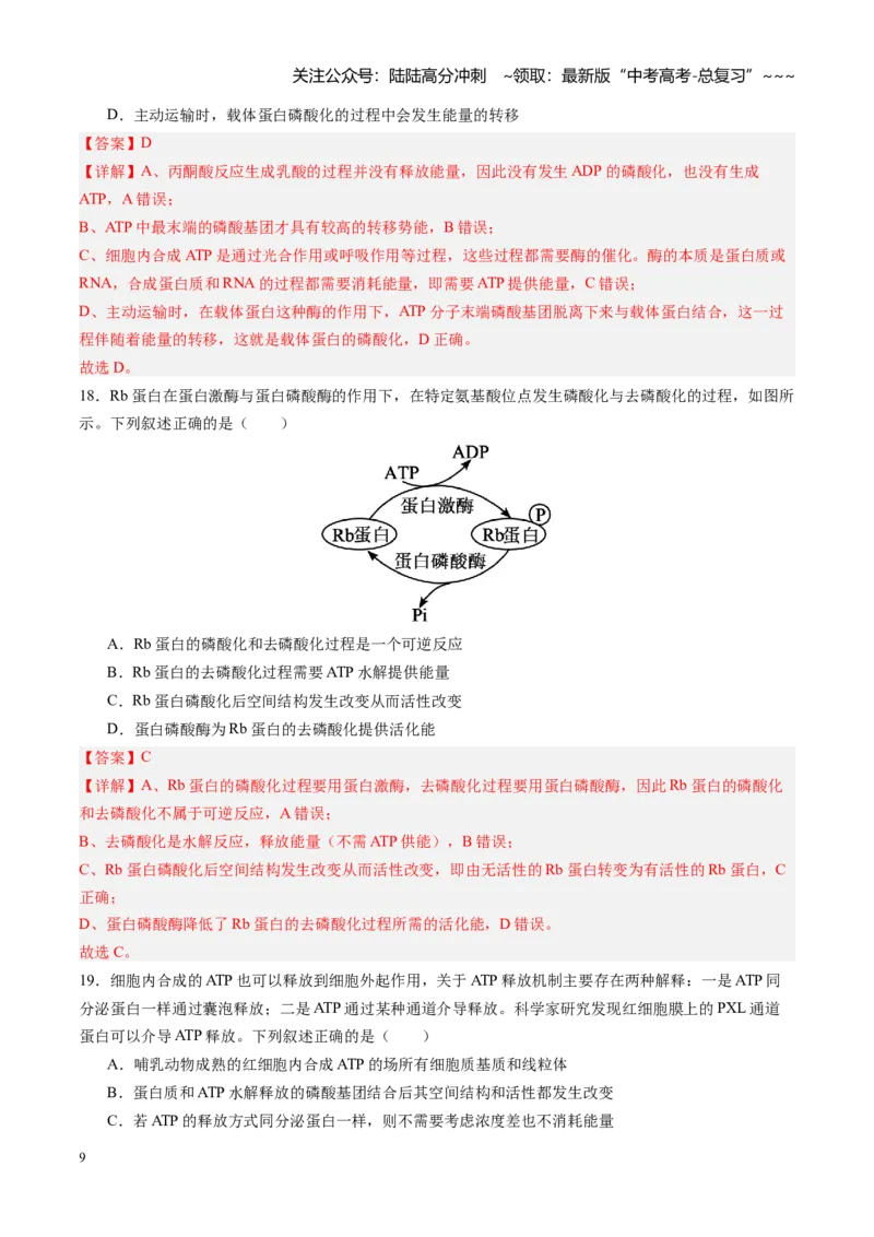 《第08讲酶和ATP（专项训练）（四川专用）（教师版）_06-生物-高考总复习_一轮复习_2026年-生物高考一轮复习_2026年高考生物一轮课件+讲义+练习（四川专用）-G335》第9页预览