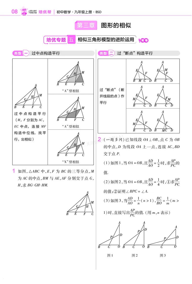 《培优专题训练（第三章图形的相似）_26秋小学初中各机构教辅大合集（一本、教材帮、阳光同学、王朝霞、实验班、小典中点、上分卷、白欧、课堂笔记等等）_26秋初中教辅资料》第1页预览