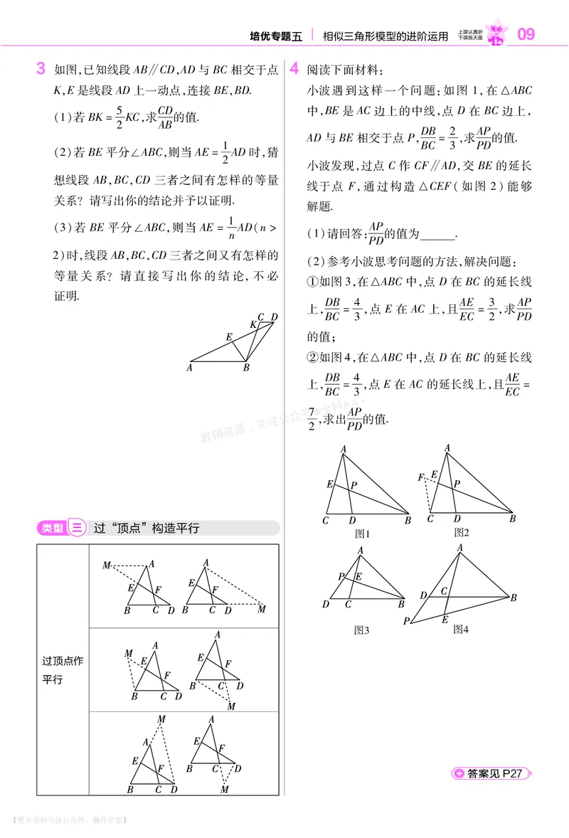 《培优专题训练（第三章图形的相似）_26秋小学初中各机构教辅大合集（一本、教材帮、阳光同学、王朝霞、实验班、小典中点、上分卷、白欧、课堂笔记等等）_26秋初中教辅资料》第2页预览