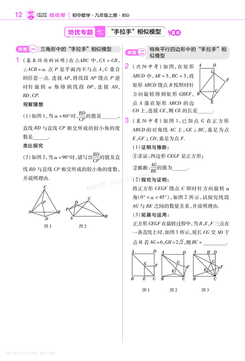 《培优专题训练（第三章图形的相似）_26秋小学初中各机构教辅大合集（一本、教材帮、阳光同学、王朝霞、实验班、小典中点、上分卷、白欧、课堂笔记等等）_26秋初中教辅资料》第5页预览