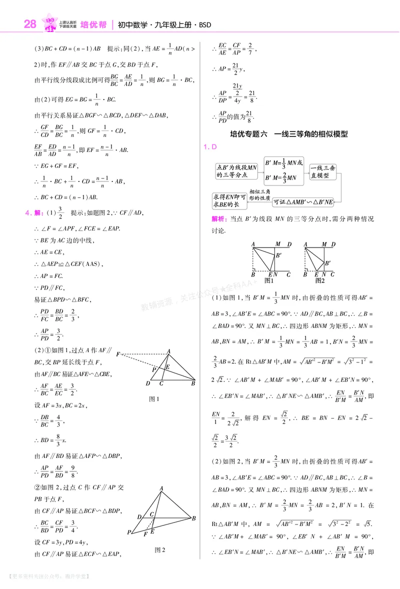 《培优专题训练（第三章图形的相似）_26秋小学初中各机构教辅大合集（一本、教材帮、阳光同学、王朝霞、实验班、小典中点、上分卷、白欧、课堂笔记等等）_26秋初中教辅资料》第8页预览