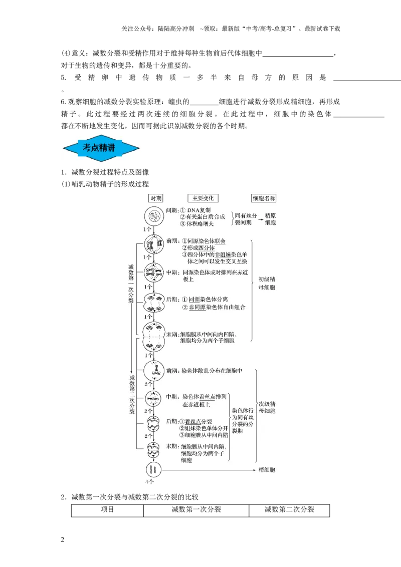 《专题12减数分裂和受精作用（串讲）（原卷版）_06-生物-高考总复习_一轮复习_2024年_2024年高考生物一轮复习串讲精练知识点梳理练习题_串讲》第2页预览